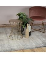 Jewel of Obsession 954 Taupe Rug 